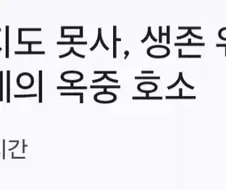 가세연 김세의 옥중 호소