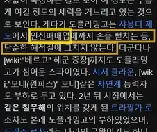 원피스)10년전 도황..wiki