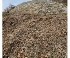 뭔 유적이 이래요. 망한거같잔아.