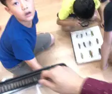 의외로 전후 상황짤이 있던 그 공익짤