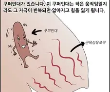 가슴으로 과격한 플레이하면 안되는 이유