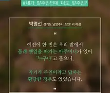"한국인은 남이 두고간 물건 안훔친다"