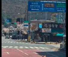 대전 동물원 탈출한 늑대는...