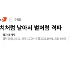 나x처럼 날아서 벌처럼 쏜다