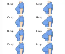 가슴 설명 사진에 분개