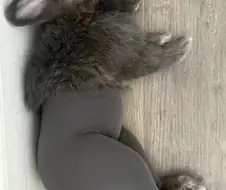 레깅스가 진짜 사기템인 이유.jpg