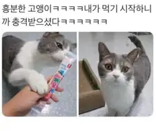 "니가 그걸 왜먹어?"
