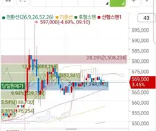 주식) 우정잉 현대차 평단 59.7만