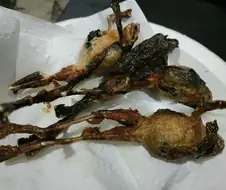 케로로가 한국에 왔다면 봤을것