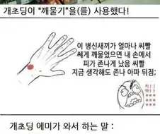 건방진 개초딩 참교육