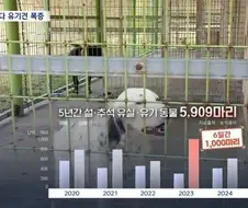 조만간 많이 올라올 뉴스