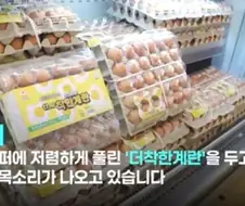 시장에 값싼 계란이 풀리자 유통업자들 반응