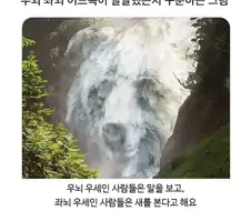 좌뇌 우뇌 발달한쪽 구분하는 그림