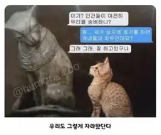 후손을 만난 조상