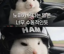 현대인의 삶