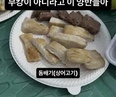 이 시국에 상어고기 먹은 사람