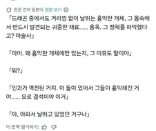 용들이 난폭한 이유