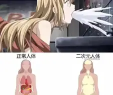 망가의 신체구조.jpg