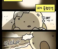 [만화] 거북이는 뒤집히면 못 일어나