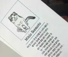 은근슬쩍 자캐딸치는 보루토 작가