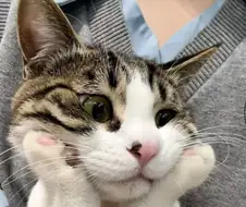 턱 괴고 있는 냐옹이...