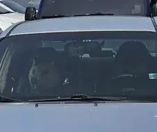 어우씨 깜짝이야