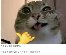 반도체) 마이크론이 미국기업이라 다행인 이유