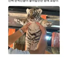 진짜 한국인들이 좋아하는거.jpg