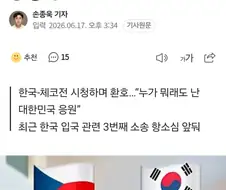 한국 안전 마크 떳다