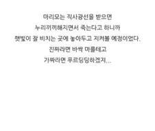 스압) 충격적인 반려 식물의 정체.jpg
