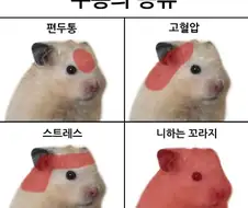 두통의 종류