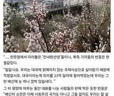 한국이 소련에 차관 대줬을때 북한반응