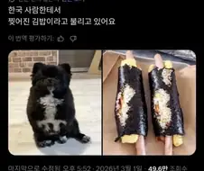 뭔가 그럴싸한 별명이 붙여진 강아지