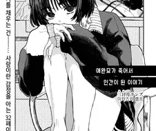 사고로 죽은 반려묘가 인간으로 환생해 내 앞에 나타난 만와.manga
