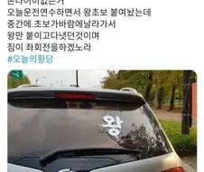 운전 연습하다 순식간에 신분 급상승 함.jpg