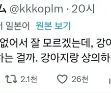 의외로 정확한 개 키워본적 없는 사람의 의문