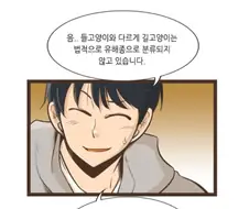길고양이를 보는 시점에 대한 만화.manhwa