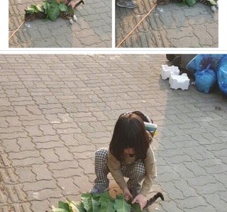 고양이가 추워보였던 아이.jpg