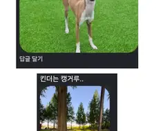 산책하면서 들었던 무례한 말.jpg