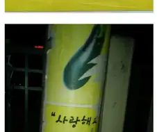 구리시에서 사방에 붙어있던 정체불명의 포스터의 진실