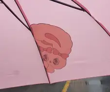 작성자의 은밀한 취향