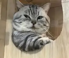 ???:어이 아가씨!!!