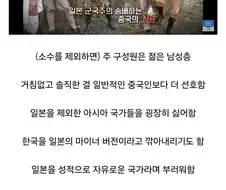 혐한한다는 중국의 일뽕들 특징