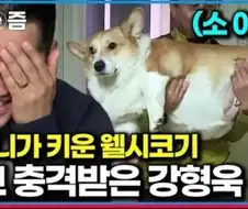 강형욱도 충격받은 웰시코기의 상태