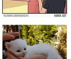 인터넷 고양이와 니 고영이.manwha