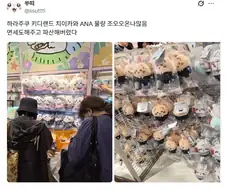 치이카와도 끝물이구나 물량 넘치네.jpg