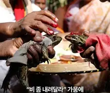 성능 확실한 기우제