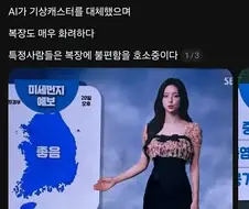 불편러 때문에 A.I 기상캐스터로 대체함.