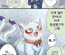 개다래 주술에 걸리는 만화