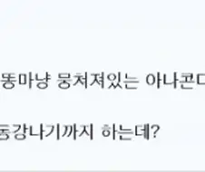 스캇 장르에 대해 설명하는 디시 유저.jpg